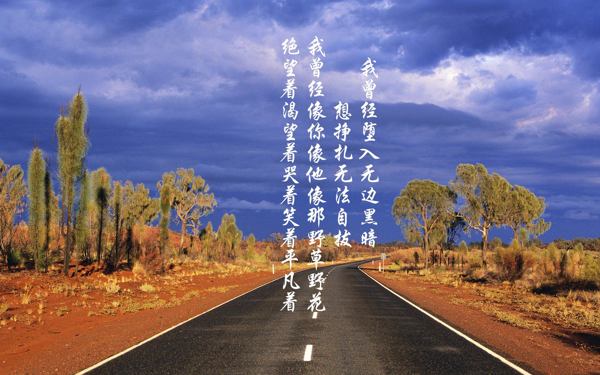 世界拳击退役运动员职业转型成功案例专栏上线，拳击手退役后怎么办